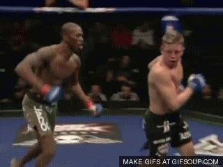 Mma GIF - Find & Share on GIPHY