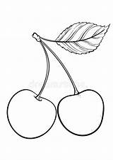 Coloring Pages  Free Printable Cherry Sheet For Kids sketch template