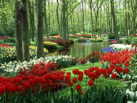 Celebrate Spring with Keukenhof Gardens - Petite Haus