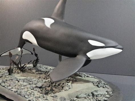 Killer whale Sculpture by Francisco Javier Lara Gonzalez - Fine Art America