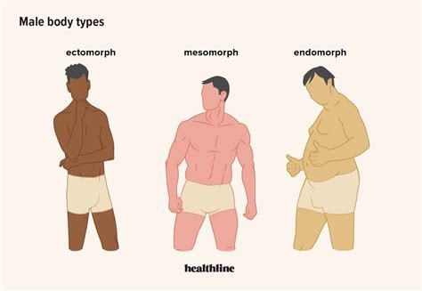 Male Body Types: Definitions and What They May Mean