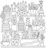 Best Succulent & Cactus Coloring Books Pages  Cleverpedia sketch template