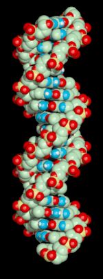 Anthropic Principle | Anthropic principle, Science art, Cosmology