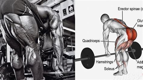 5 Must-Have Hamstring Exercises For Jacked Legs – Fitness Volt