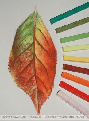 Soft Pastels Tutorial - Autumn Leaf - STEP BY STEP ART | Soft pastel art, Pastel art, Chalk ...