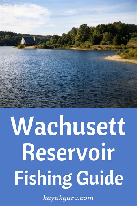 Wachusett Reservoir, Massachusetts Fishing Guide | Top Fishing Spots