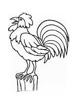 Chickens Hens And Roosters Coloring Pages sketch template