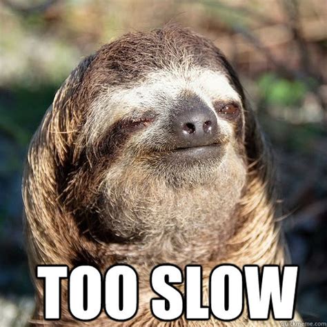 too slow - 10 guy sloth - quickmeme