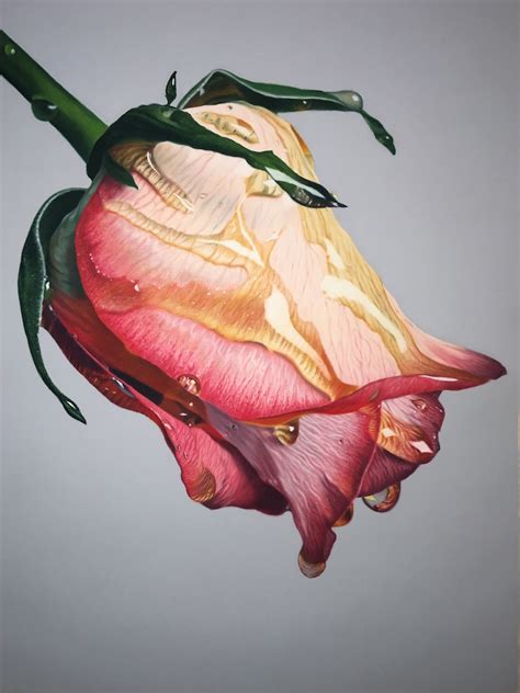 Hyperreal Oil Pastel Drawings of Flowers Drenched in Honey