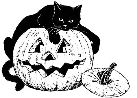 Halloween Black Cat Drawing at GetDrawings | Free download