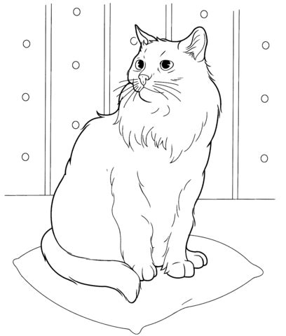 Розмальовка Сибірська кішка | Розмальовки для дітей друк онлайн