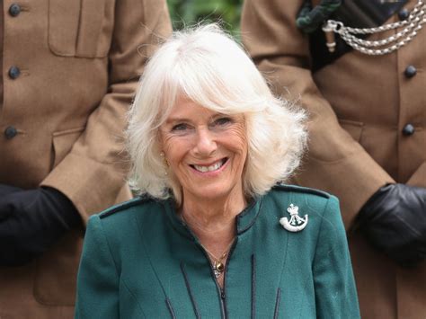 Camilla Queen Consort of the United Kingdom - TroyrilloMcbride