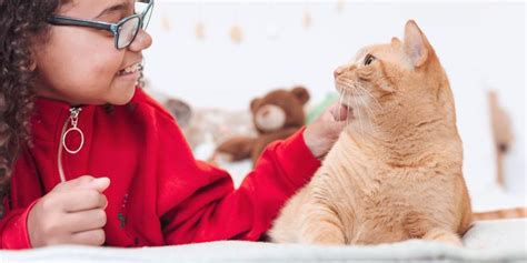 Cat Skin Allergies: Symptoms & Treatments | Purina US