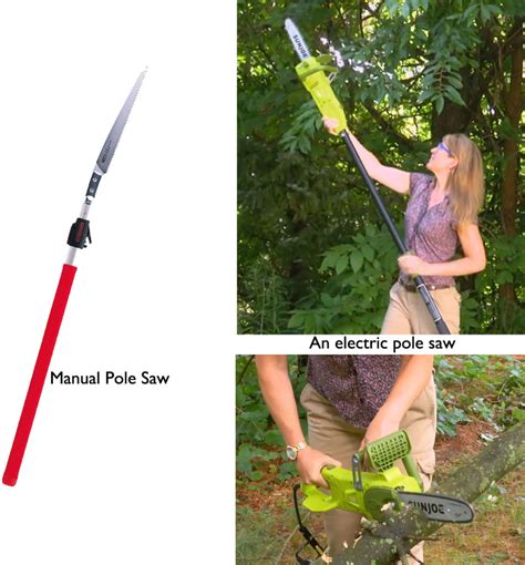 The Best Tree Saws for Every Backyard and Garden Task | Dengarden