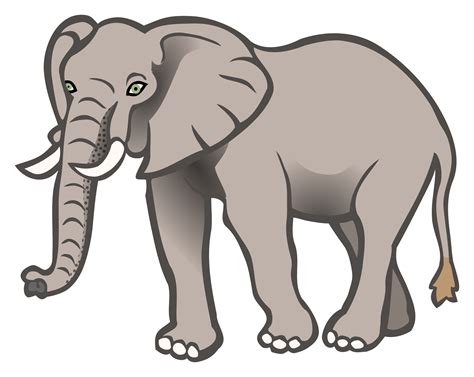 Clipart - elephant - coloured