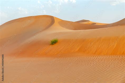 Natural landscape of the orange color sand dunes in the desert in Abu Dhabi in UAE Stock Photo ...