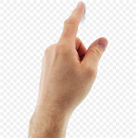 Thumb Hand Finger, PNG, 495x836px, Thumb, Arm, Finger, Hand, Hand Model Download Free