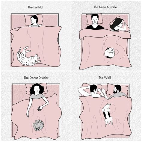 10 pet sleeping positions and what they say about your pet-owner bond | Dog sleeping positions ...