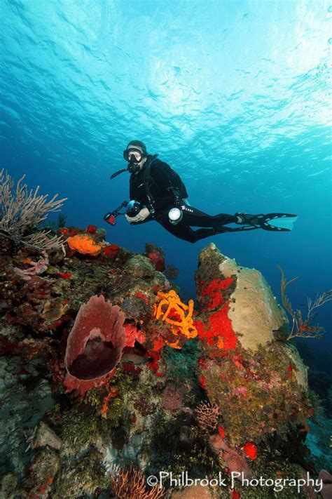 Underwater Photography - Aquaventure Dive & Photo Center