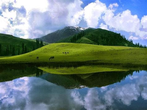 Deosai National Park - Holiday Spot Planner