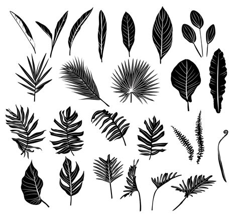 Leaf Vector at Vectorified.com | Collection of Leaf Vector free for personal use