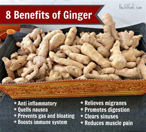 Benefits of Ginger & How To Use Ginger in Beverages + Smoothie Recipe - thefitfork.com