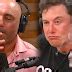 Epic Interview: Elon Musk Smoking A Joint With Joe Rogan And Talking About The Future of Humanity