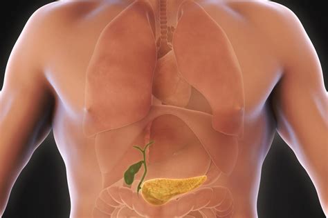 Gallbladder Cancer Symptoms - Health Hearty