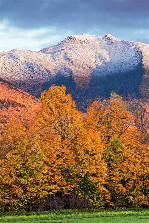 Mount Mansfield Foliage Snowfall Photograph by Alan L Graham