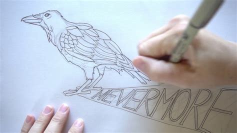 How to draw and Ink a Raven - step by step tutorial - YouTube