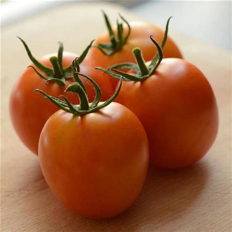 Heirloom Tomato Seeds 25 Seeds Tomato Marriage Perfect Flame - Etsy