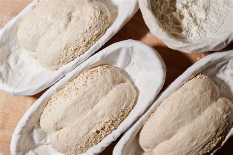 The Ultimate Guide to Proofing Bread Dough | The Perfect Loaf