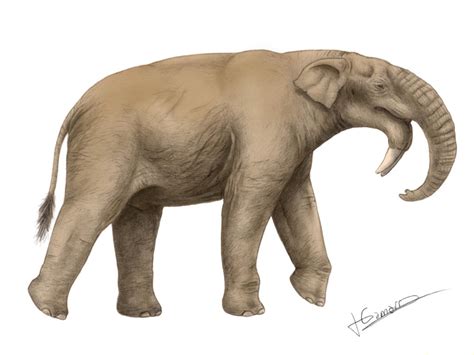 Deinotherium thraceiensis vs Spinosaurus aegypticus - Bestiary