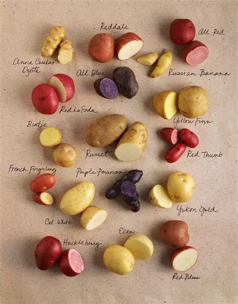 The humble tatie got to love them. | Potato varieties, Food, Food facts
