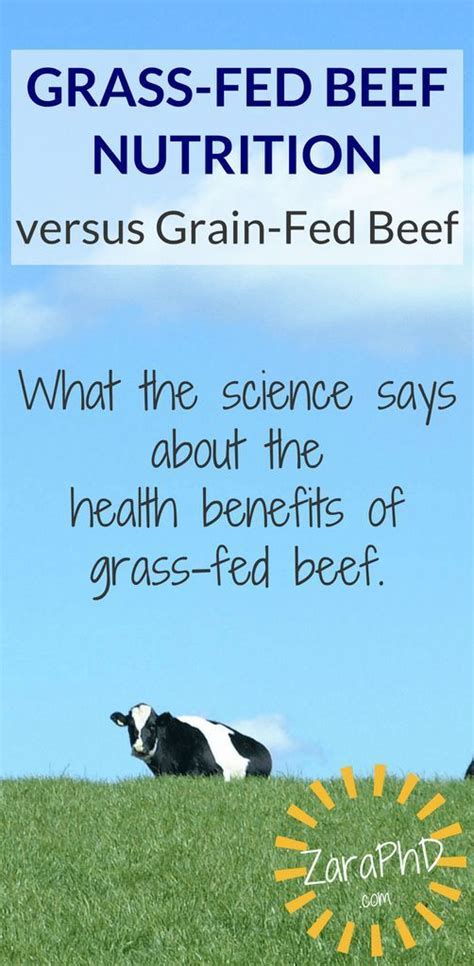 Grass-Fed Beef Nutrition Information | Beef nutrition, Grass fed beef, Grass fed beef benefits