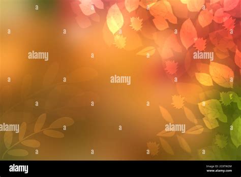 Abstract autumn gradient gold orange bright green of fall colors background texture with leaves ...