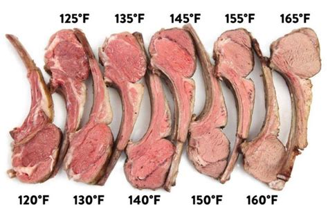 Lamb Temperature - Lamb Cooking Temp & Internal Temperature | ThermoPro | Lamb chop recipes ...