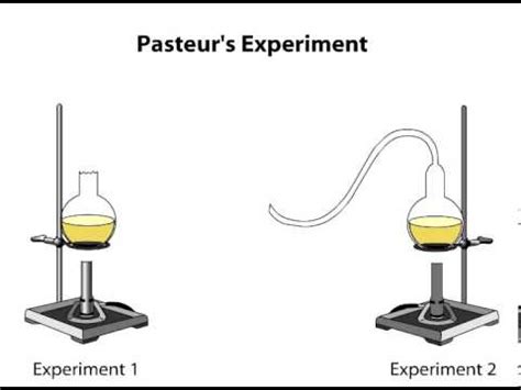 Pasteur's Experiment - YouTube