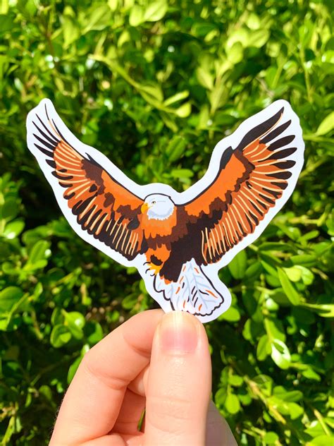 Bald Eagle Sticker Wild Animal Stickers | Etsy