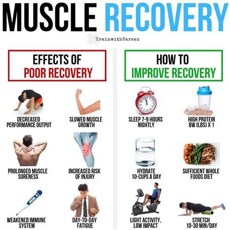 Muscle Recovery ⁣Hitting the weights is half the battle, the other half is recovery ️If you are ...