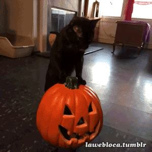 Adorable Gifs That Will Remind You What Halloween Is All About