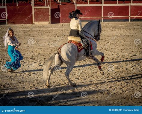 Traditional Spanish Horse Riding Editorial Photo - Image of event, tame: 80846241