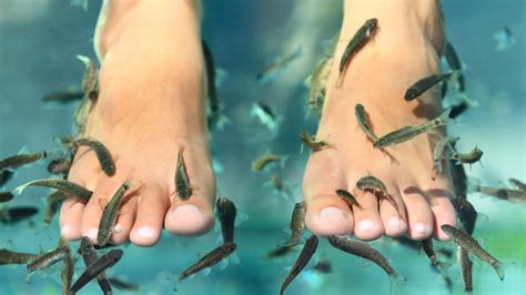 Woman's Toenails Fall Off After Fish Pedicure | Allure