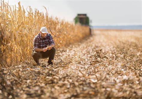 10 Things You May Not Know About Farmers | Farmer, Rural area, Farm