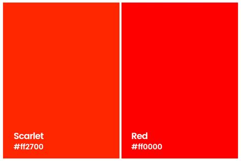 All You Want to Know About Scarlet Color: Meaning, Combinations and Palettes | Fotor