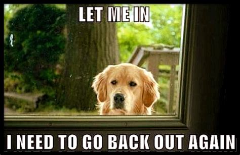 ...Let me in so I can go back out...So funny...This sounds just like my precious "Tucker ...