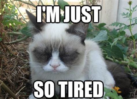 40 Truthful Memes About Being Tired - Inspirationfeed