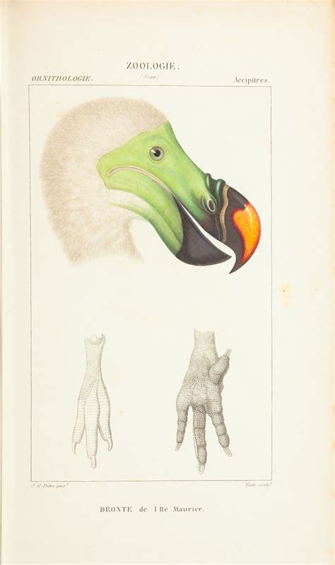 BibliOdyssey: Zoological Atlas