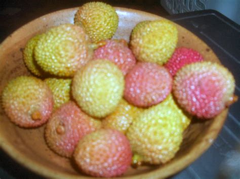 Lychee season! | Living in California, I get so used to eati… | Flickr