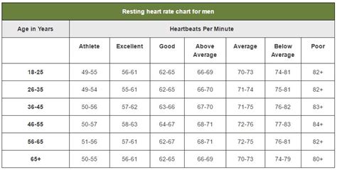 What’s Your Resting Heart Rate? - LewRockwell